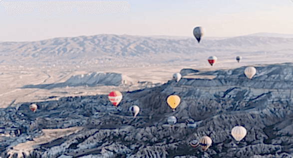 free-bird-travel-details